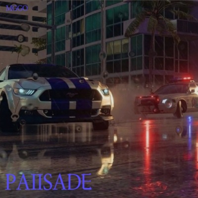 PAIISADE(路障)