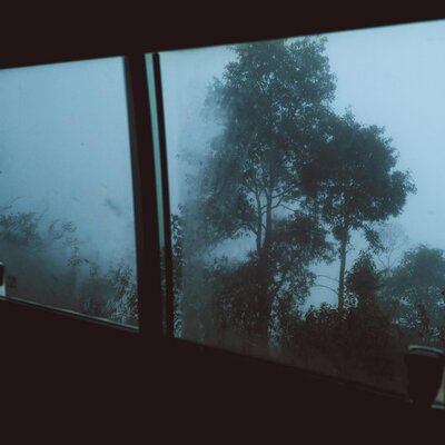 TheRealLulu - yet to see it