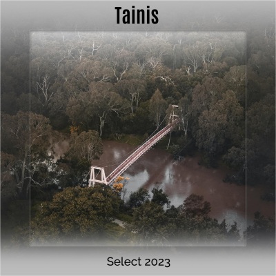 Tainis