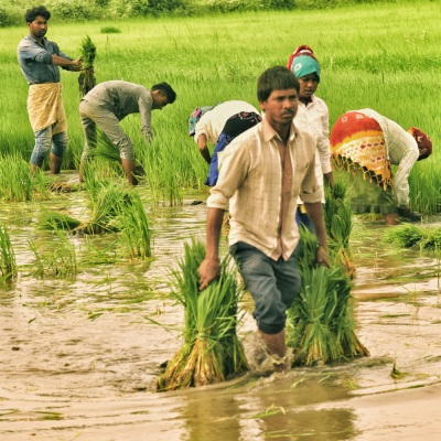 Rain Music: Soothing Nature Sounds for Productive Work