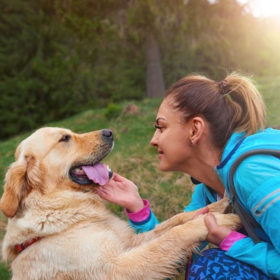 Rainforest Playground: Nature's Music for Happy Pets