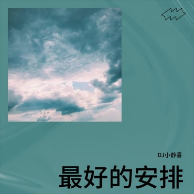 最好的安排 (DJ)