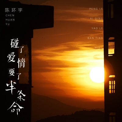 陈环宇 - 碰了爱情要了半条命
