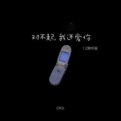 对不起，我还爱你 (CR3.1.2x版)