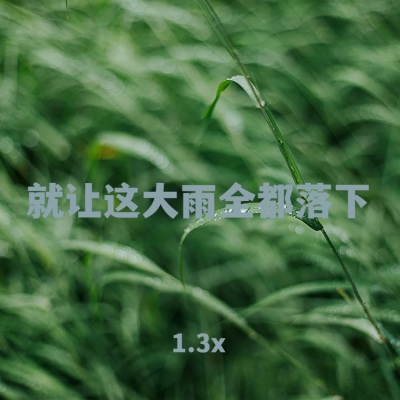 就让这大雨全都落下 (1.3x)