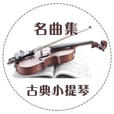 月光奏鸣曲第一乐章 (小提琴)