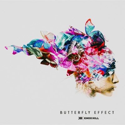 Butterfly Effect (Explicit)