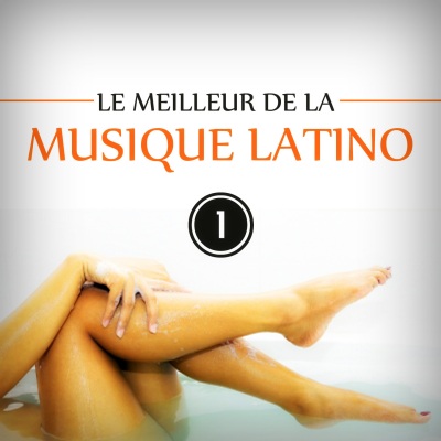 Le meilleur de la musique latino, Vol. 1 (Best of Latin Music 20 Hits)