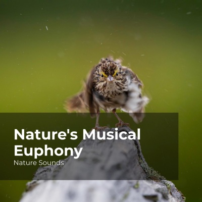 Nature's Musical Euphony