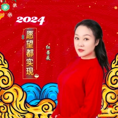 2024年愿望都实现