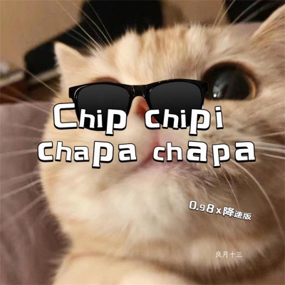 Chip chipi chapa chapa (0.98x降速版)