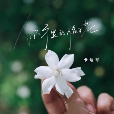 你手里的栀子花