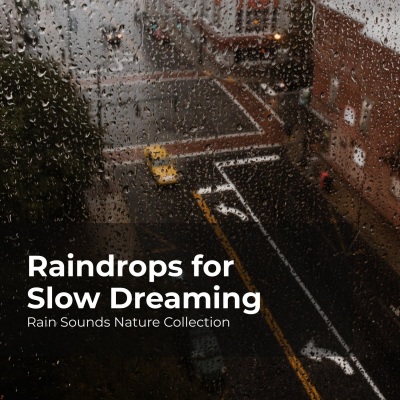 Raindrops for Slow Dreaming