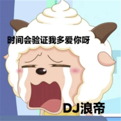 时间会验证我多爱你呀 (DJ懒羊羊版)