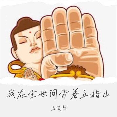 我在尘世间背着五指山 (Dj光年版)