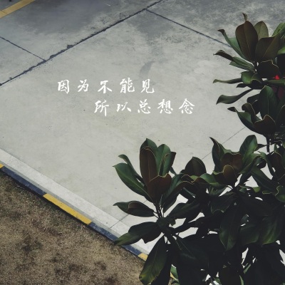 因为不能见所以总想念 (纯音乐)