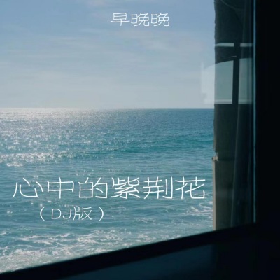 心中的紫荆花 (DJ版)