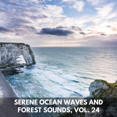 Serene Ocean Waves and Forest Sounds, Vol. 24