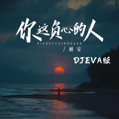 你这负心的人 (DJ EVA版)