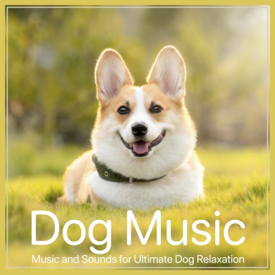 Relaxmydog - Blissful
