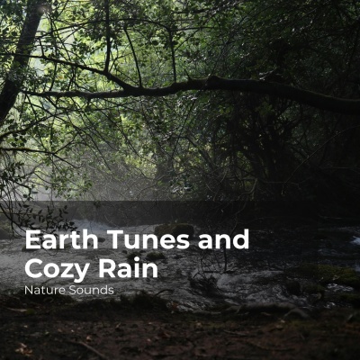 Sleep Sounds of Nature - Riverbed Waterway