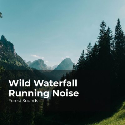 Wild Waterfall Running Noise