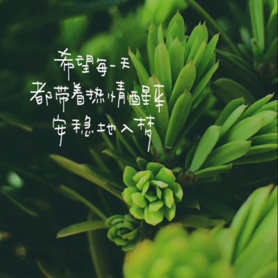 思想聚焦点