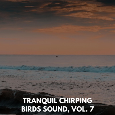 Tranquil Chirping Birds Sound, Vol. 7