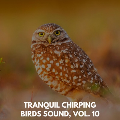 Tranquil Chirping Birds Sound, Vol. 10