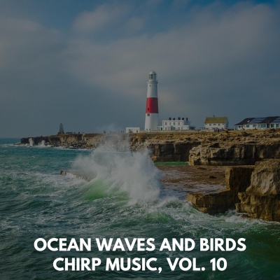 Ocean Waves and Birds Chirp Music, Vol. 10