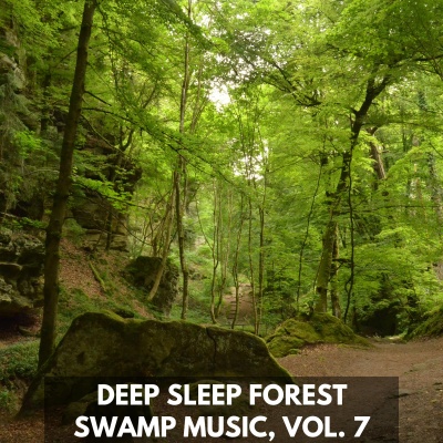 Deep Sleep Forest Swamp Music, Vol. 7