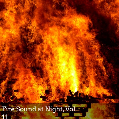 Fire Sound at Night, Vol. 11