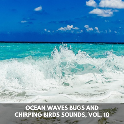 Ocean Waves Bugs and Chirping Birds Sounds, Vol. 10