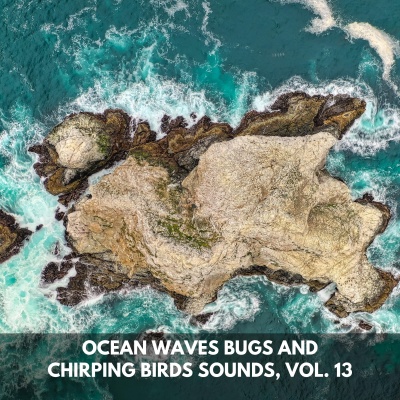 Ocean Waves Bugs and Chirping Birds Sounds, Vol. 13