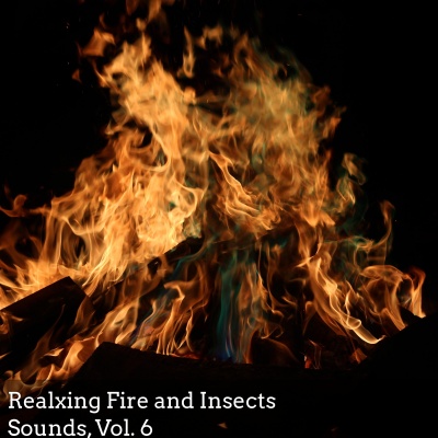 Realxing Fire and Insects Sounds, Vol. 6