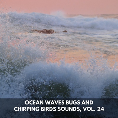 Ocean Waves Bugs and Chirping Birds Sounds, Vol. 24