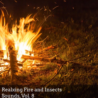 Realxing Fire and Insects Sounds, Vol. 8