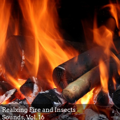 Realxing Fire and Insects Sounds, Vol. 16