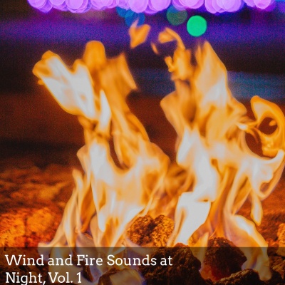 Wind and Fire Sounds at Night, Vol. 1