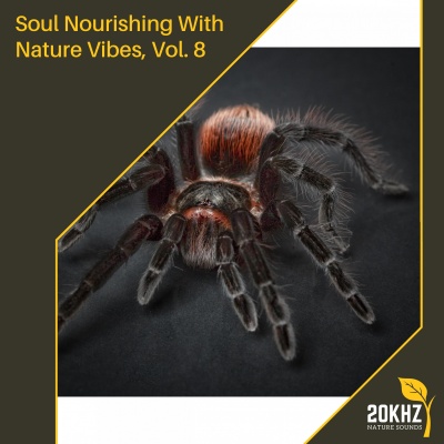 Soul Nourishing With Nature Vibes, Vol. 8