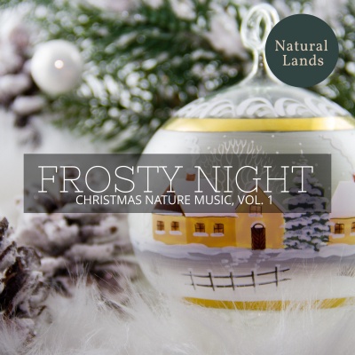 Frosty Night - Christmas Nature Music, Vol. 1