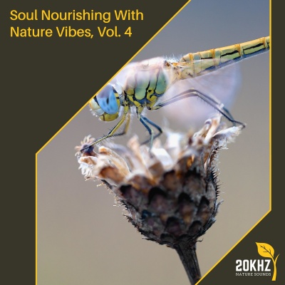 Soul Nourishing With Nature Vibes, Vol. 4