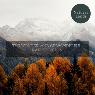 The Wonderland of Wonderful Nature, Vol. 6