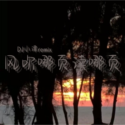 DJ小谭remix - 红色妖姬V8
