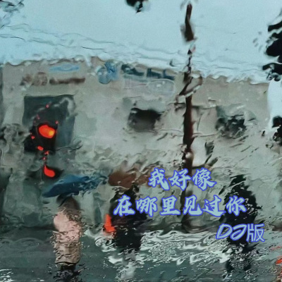 我好像在哪见过你 (我以为旅人将我热情都燃尽)(DJ版)