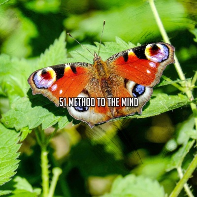 Very Calming Music - Release The Pain