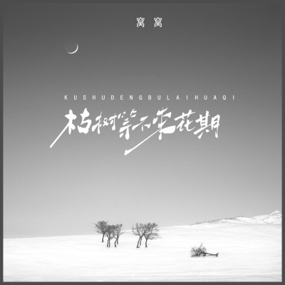 枯树等不来花期 (纯音乐×0.9)