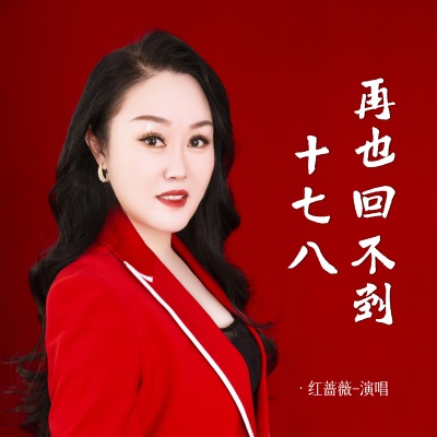 再也回不到十七八 (DJ女版)