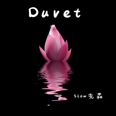 Duvet