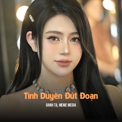 Tình Duyên Đứt Đoạn (MeMe Lofi)